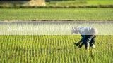 怎么教幼儿园学习拼音整体认读音节,汉语拼音整体认读音节是什么意思？