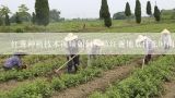 红薯种植技术视频如何种植红薯地瓜什么时间种,怎样种红薯高产视频