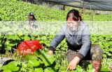 大家介绍适合学校食堂的餐饮项目有什么？,适合在学校食堂做的小吃有哪些？