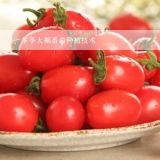冬季大棚番茄种植技术,冬季大棚西红柿种植技术_冬季大棚西红柿种植要点