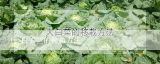 白玉兰的种植方法,白玉兰树的种植方法是什么