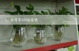 家常菜100道菜谱,100道家常菜做法