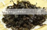 平果树怎么种植技术,平果树应该如何修剪树枝？