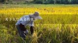 关于太空蔬菜的资料