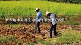 新发地水果批发市场内部水果分配图,新发地水果批发市场内部水果分配图