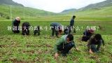 新疆最大的苗木生产基地叫什么？在哪？石家庄都有哪些苗木基地