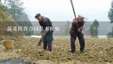 蔬菜供货合同范本模板,为什么观麦的生鲜配送管理软件可以帮助传统食材配送商转型成功？