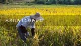 水果门头什么颜色好看,蔬菜图片