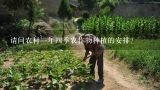 请问农村一年四季农作物种植的安排?适宜七月份种植的蔬菜