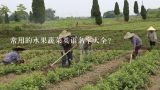 常用的水果蔬菜英语名字大全？谁知道各种蔬菜和水果的英文单词？