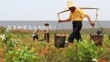 蔬菜种类大全和图片？青菜刚萌芽是怎样的?求图片名称