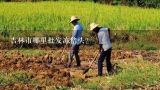 吉林市哪里批发冻猪头？东北最大的冻货批发市场在哪里