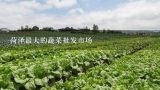 菏泽最大的蔬菜批发市场,临淄最大的蔬菜批发市场