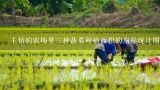 王伯的农场里三种蔬菜种植面积的扇形统计图 已知萝卜占12% 西瓜占36% 黄瓜7.8公顷 西瓜的种植面积是多少公