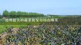 沧州最大的蔬菜批发市场在哪里,沧州批发蔬菜哪里便宜
