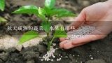 秋天成熟的水果和蔬菜有哪些？北方秋天成熟的农作物、蔬菜和水果有哪些？