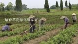 培育草花绿化哪家好,全国最大的花卉基地在哪里