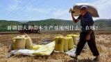 新疆最大的苗木生产基地叫什么？在哪？全国最著名的花木基地，有你引以为傲的家乡吗？