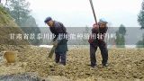 甘肃省景泰川沙土地能种油用牡丹吗,哪些国家适合种植油牡丹
