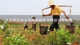 河北保定北方绿源苗圃苗木种植销售基地,请问我打算申请苗木基地，不知道怎吗办理？有谁知道吗？请告诉我！