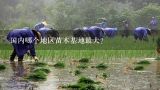 国内哪个地区苗木基地最大？北京华源发苗木基地的苗木都是四季常绿苗木吗？