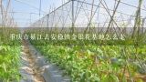 重庆市綦江去安稳镇金银花基地怎么走,重庆市最大苗木基地在哪里