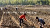 在徐州有哪些大的花卉种植基地？江苏宿迁好友花木公司怎么样