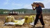 河阴石榴基地怎么走,怀远县丰泽现代农业石榴种植基地电话？