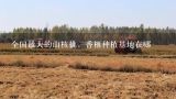 全国最大的山核桃，香榧种植基地在哪,中国香榧之乡的简介