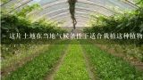 这片土地在当地气候条件下适合栽植这种植物吗？