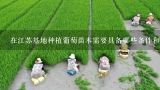 在江苏基地种植葡萄苗木需要具备哪些条件和技能?