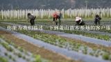 你能为我们描述一下到萧山苗木基地的客户服务和销售体验吗?