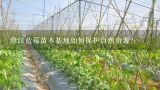 澄江蓝莓苗木基地如何保护自然资源?