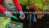 宁波枫香苗木基地如何利用科技提升植物保护的力度?
