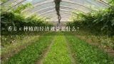 香Εκ种植的经济效益是什么?