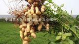 中国苗木的主要加工产品有哪些?