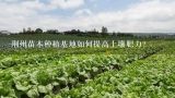 荆州苗木种植基地如何提高土壤肥力?