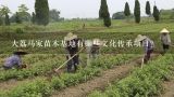 大荔马家苗木基地有哪些文化传承项目?