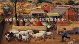 西藏苗木基地批发的采购周期是多少?