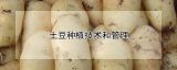 土豆种植技术和管理