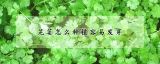 芫荽怎么种植容易发芽