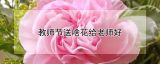 教师节送啥花给老师好