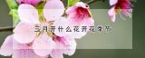 三月开什么花开花季节