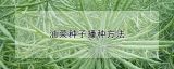 油菜种子播种方法