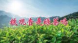 铁观音是绿茶吗