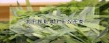 太平猴魁属于什么茶类