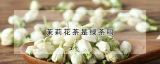 茉莉花茶是绿茶吗