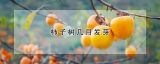 柿子树几月发芽