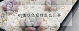 桃蛋颜色变绿怎么回事