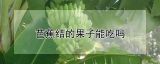 芭蕉结的果子能吃吗